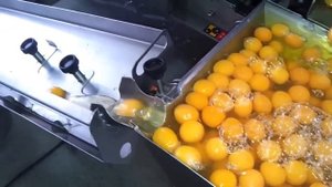 Машина для разбивания яиц RZ-2 Ovo Tech