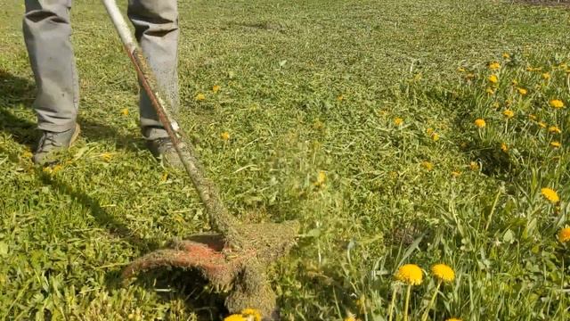 Борьба с одуванчиками механизированными средствами смотреть онлайн