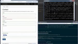 PHP codeception and selenium server in firefox