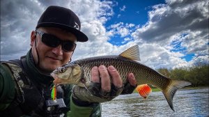 Холодный май 2022, лучшая приманка этой весны.