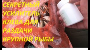 ДОБАВИЛ ВИТАМИНКИ В ПРИКОРМКУ И ОБАЛДЕЛ ТАК МНОГО РЫБЫ Я НЕ ЛОВИЛ НИКОГДА, РЫБА КЛЮЕТ БЕЗ ОСТАНОВКИ