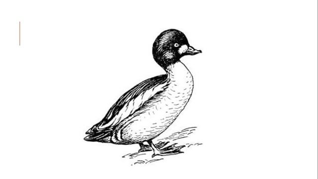 Откуда пошло выражение? смотреть онлайн