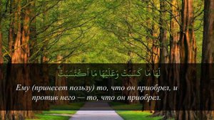 Сура аль Бакара, аяты 285 и 286 - аяты с великим смыслом