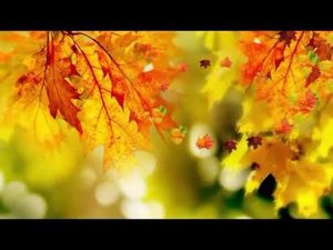 Олег Чуприн - Осенние каникулы души (кавер)(13.10.11)