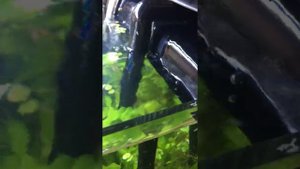 Фильтр - рюкзак Акваэль Версамакс -3