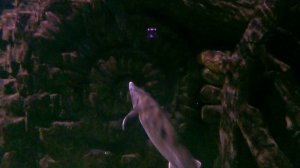 ОКЕНАРИУМ  В МОСКВЕ  2024  ЧАСТЬ 2