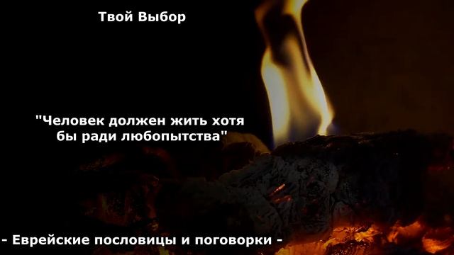 Поразительно Мудрые Еврейские Пословицы и Поговорки, которые Учат Жизни. Цитаты, Афоризмы. смотреть онлайн