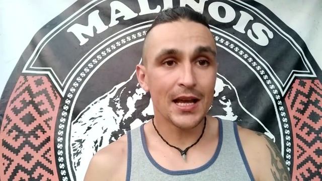 293. Как отучить собаку пылесосить. Как отучить собаку подбирать еду с земли на улице смотреть онлайн