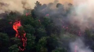 В Турции российские летчики помогают тушить горящие леса и работают на самых сложных участках