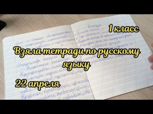 Взяла тетрадки для проверки по русскому языку