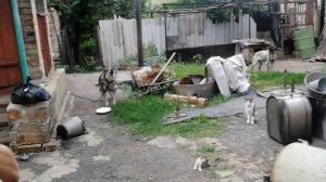 Враг у ворот