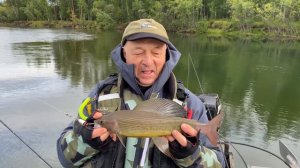 Хариусы реки Омолон, юг Чукотки