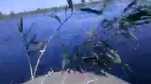 лодочный болотоход