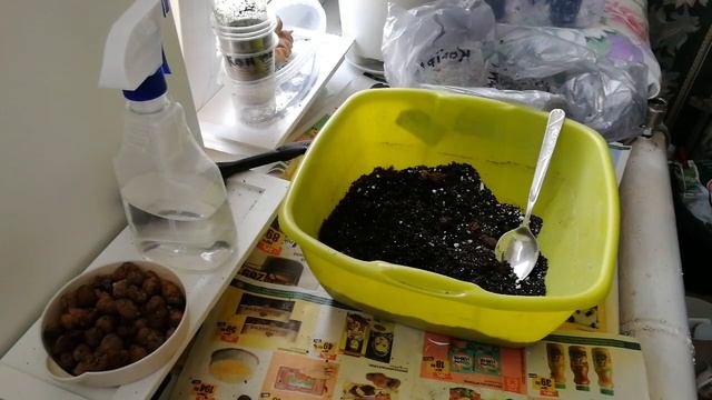 Комнатные растения. Пересадка комнатных растений. смотреть онлайн