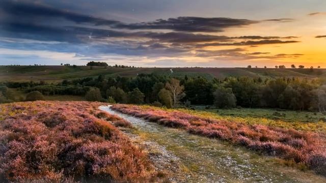Александр Сидорин. Комары и Зима не будет смотреть онлайн
