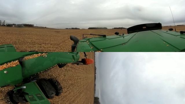 Taking grain to the gain bins смотреть онлайн