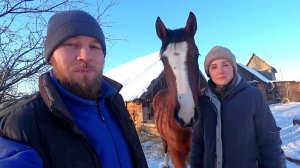 УЖЕ НЕТ СИЛ ЭТО ТЕРПЕТЬ. РАСКРЫВАЕМ СЕКРЕТ КОТОРЫЙ ВСЕ ЖДАЛИ. ЖИЗНЬ В ДЕРЕВНЕ.