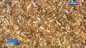 Фермер Михаил Бозыков - заслуженный работник сельского хозяйства Хакасии