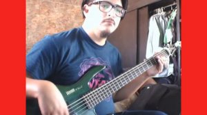 Steam Gardens (Super Mario Odyssey) Bass Cover [LINK TO TABS IN DESCRIPTION]