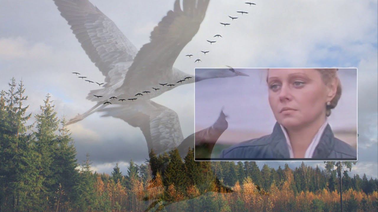 Журавли смотреть онлайн