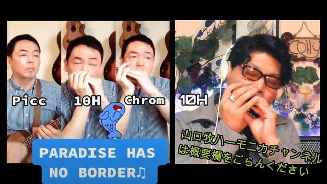 【口琴日誌】ブルースハープ演奏キリン氷結CM　PARADISE HAS NO BORDER(東京スカパラダイスオーケストラ) Maki Harmonica Chanel & ヤバイハーモニカ　コラ смотреть онлайн