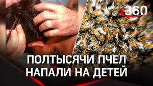 Рой пчел напал на детей в Башкирии. Из их тел извлекли 465 жал