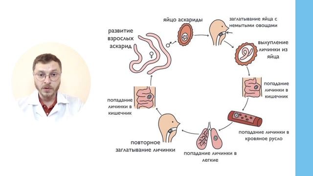 Лямблии и аскариды. Кто главнее? смотреть онлайн
