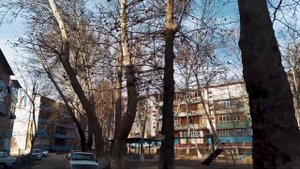 ЧИРЧИК