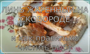 Как быстро и вкусно приготовить Линь на сковороде. Как разделывать Линь.