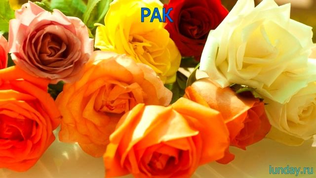 Что Вы за цветок по знаку зодиака смотреть онлайн