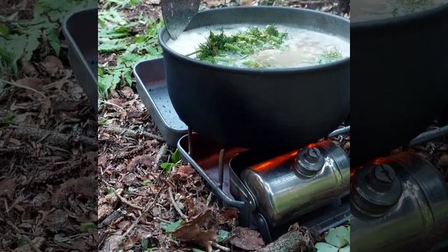Тебердинский поход.Варим суп ,кормим комаров! смотреть онлайн
