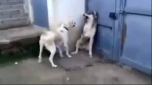 НЕ ОРИ НА ДЕТЕЙ !!!