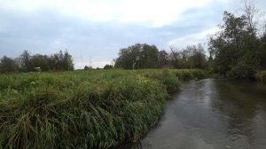 ФОРЕЛЬ ПЕРЕД НЕРЕСТОМ #8