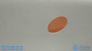 Ванна акриловая Cersanit Joanna New - 140x90, 150x95