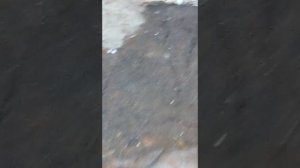 Самая глубокая лужа в мире