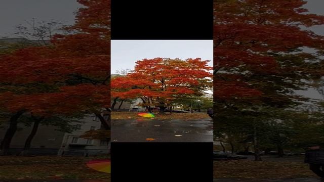 Осень, дождик и красотаааа...