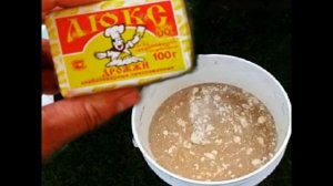 Правильная подкормка комнатных цветов дрожжами, чтобы они не сохли и быстро росли