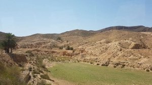 Отдых в Тунисе - где и когда лучше отдыхать?