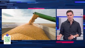 «Вести.NET»: правда ли, что в Башкирии грядёт дефицит зерна?