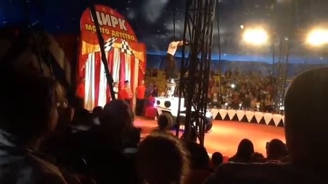 VLOG:ДАЧА/ЦИРК/СИМС4??? смотреть онлайн