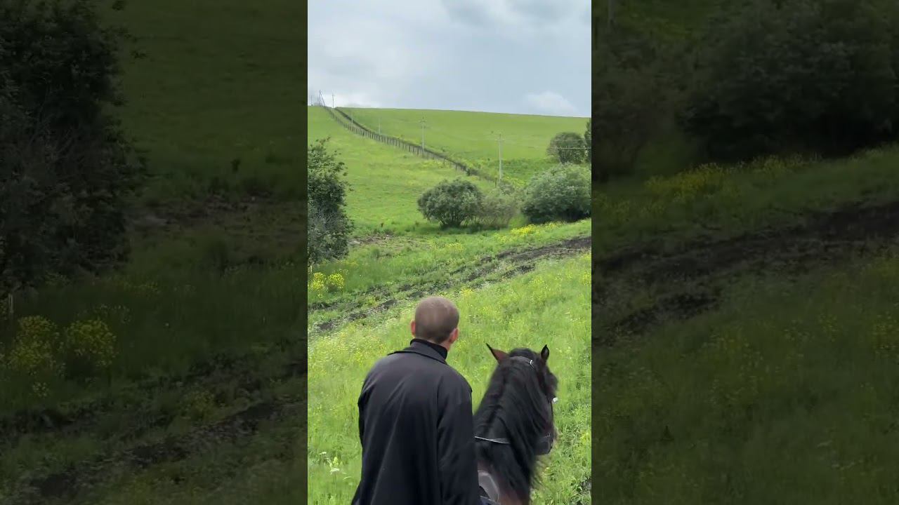 Конная прогулка смотреть онлайн