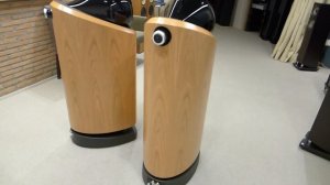 Bowers Wilkins 802 Diamond