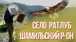 ПОЕЗДКА В ШАМИЛЬСКИЙ РАЙОН, СЕЛО РАТЛУБ