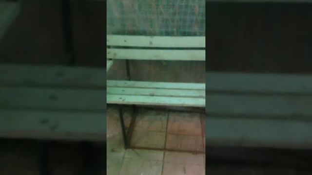 ТопСад. Танцы в саду вокруг винограда! Часть 1 - 2012 год