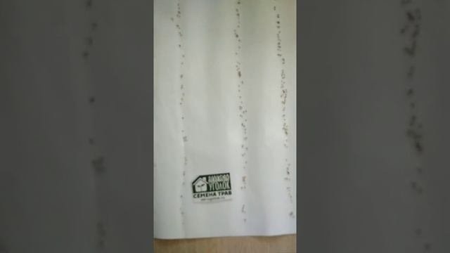 Норма высева семян горчицы