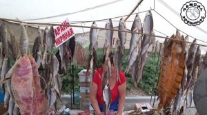 Цены в Бердянске,  вся правда в одном видео