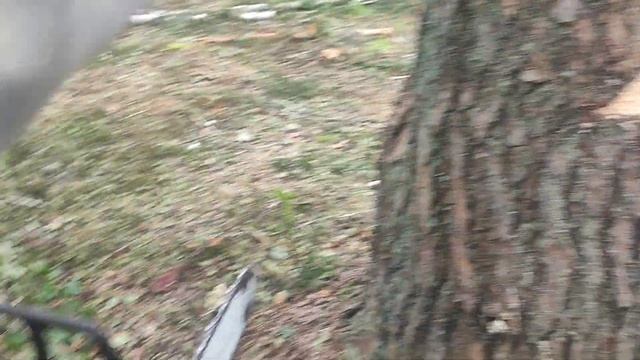 Валка дерева Винтовым валочным клином КВМ-1 хорошая работа