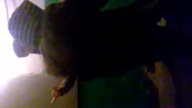 Hard Bass-Авсюнино 2) смотреть онлайн