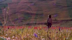 Eva Cassidy - What A Wonderful World...