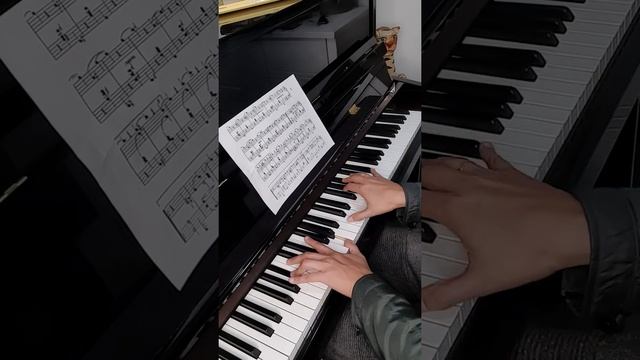 Valsa N.9 op.39 Johannes Brahms смотреть онлайн